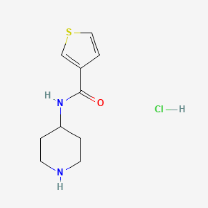 B1418808 N-(piperidin-4-yl)thiophene-3-carboxamide hydrochloride CAS No. 1185314-33-3