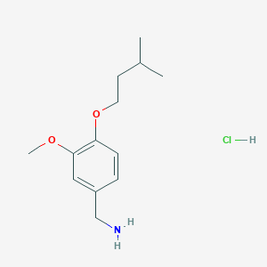 molecular formula C13H22ClNO2 B1419075 [3-Methoxy-4-(3-methylbutoxy)benzyl]amine hydrochloride CAS No. 854185-19-6