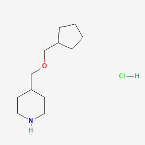 molecular formula C12H24ClNO B1419201 4-[(Cyclopentylmethoxy)methyl]piperidine hydrochloride CAS No. 1185299-09-5