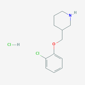 molecular formula C12H17Cl2NO B1419218 3-[(2-Chlorophenoxy)methyl]piperidine hydrochloride CAS No. 1018446-64-4