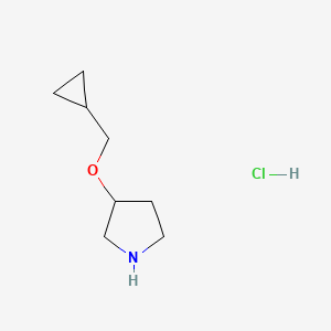 3-(Cyclopropylmethoxy)pyrrolidine hydrochloride