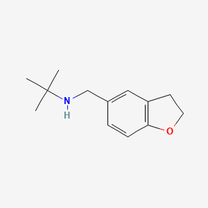 molecular formula C13H19NO B1419264 tert-Butyl(2,3-dihydro-1-benzofuran-5-ylmethyl)amine CAS No. 1157542-90-9