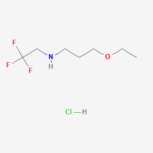 molecular formula C7H15ClF3NO B1419268 (3-Ethoxypropyl)(2,2,2-trifluoroethyl)amine hydrochloride CAS No. 1171876-76-8