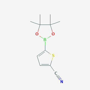 molecular formula C11H14BNO2S B1419297 5-(4,4,5,5-Tetramethyl-1,3,2-dioxaborolan-2-YL)thiophene-2-carbonitrile CAS No. 676501-85-2