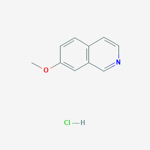 molecular formula C10H10ClNO B1419396 7-Methoxyisoquinoline hydrochloride CAS No. 1211234-64-8