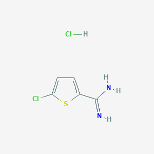 molecular formula C5H6Cl2N2S B1419434 5-氯噻吩-2-甲酰胺盐酸盐 CAS No. 202336-16-1