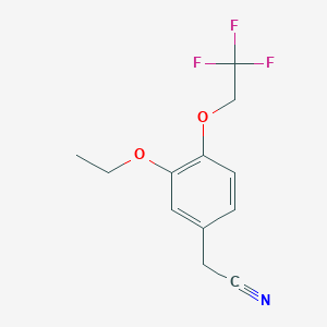 molecular formula C12H12F3NO2 B1419435 2-[3-Ethoxy-4-(2,2,2-trifluoroethoxy)phenyl]acetonitrile CAS No. 1193388-18-9