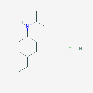 molecular formula C12H26ClN B1419437 N-(propan-2-yl)-4-propylcyclohexan-1-amine hydrochloride CAS No. 1193389-29-5