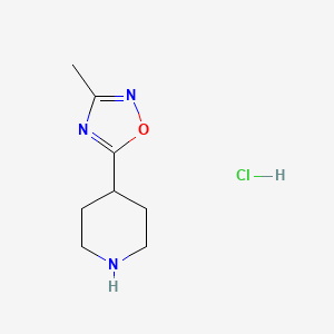 molecular formula C8H14ClN3O B1419439 4-(3-Methyl-1,2,4-oxadiazol-5-yl)piperidine hydrochloride CAS No. 795310-80-4