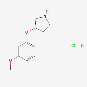 molecular formula C11H16ClNO2 B1419460 3-(3-甲氧基苯氧基)吡咯烷盐酸盐 CAS No. 23123-08-2