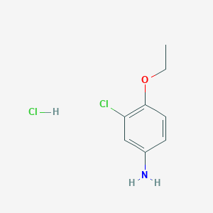 molecular formula C8H11Cl2NO B1419488 3-Chloro-4-ethoxyaniline hydrochloride CAS No. 1185108-72-8