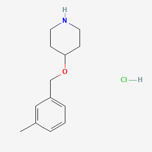 molecular formula C13H20ClNO B1419501 4-[(3-Methylbenzyl)oxy]piperidine hydrochloride CAS No. 1185304-38-4