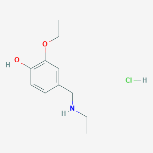 molecular formula C11H18ClNO2 B1419528 2-乙氧基-4-[(乙氨基)甲基]苯酚盐酸盐 CAS No. 1177299-69-2