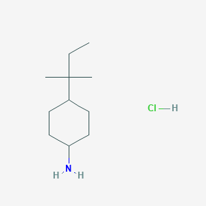 molecular formula C11H24ClN B1419570 4-(1,1-Dimethylpropyl)cyclohexanamine hydrochloride CAS No. 1177354-16-3