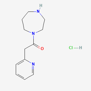 molecular formula C12H18ClN3O B1419575 1-(1,4-Diazepan-1-yl)-2-(pyridin-2-yl)ethan-1-one hydrochloride CAS No. 1211755-83-7