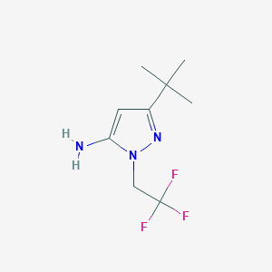molecular formula C9H14F3N3 B1419619 3-叔丁基-1-(2,2,2-三氟乙基)-1H-吡唑-5-胺 CAS No. 1048389-82-7