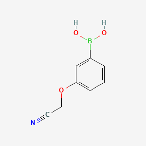 molecular formula C8H8BNO3 B1419644 3-Cyanomethoxyphenylboronic acid CAS No. 947533-25-7