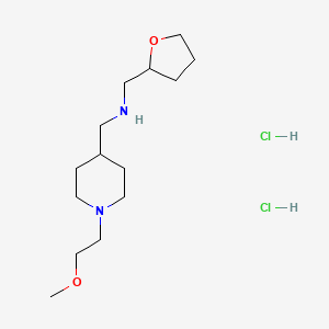 {[1-(2-Methoxyethyl)piperidin-4-yl]methyl}(tetrahy-drofuran-2-ylmethyl)amine dihydrochloride