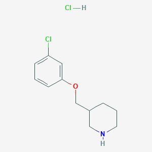 molecular formula C12H17Cl2NO B1419723 3-[(3-Chlorophenoxy)methyl]piperidine hydrochloride CAS No. 1185297-64-6
