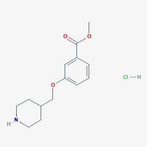 molecular formula C14H20ClNO3 B1419751 Methyl 3-(4-piperidinylmethoxy)benzoate hydrochloride CAS No. 1184976-73-5