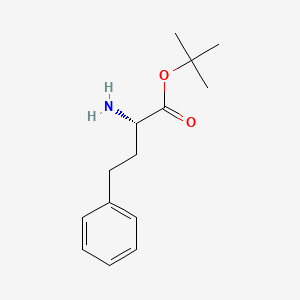 L-Homophenylalanine tert-Butyl Ester