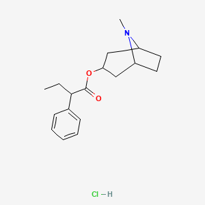 molecular formula C18H26ClNO2 B1419844 8-Methyl-8-azabicyclo[3.2.1]oct-3-yl 2-phenylbutanoate hydrochloride CAS No. 1233641-91-2
