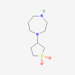 molecular formula C9H18N2O2S B1420001 3-(1,4-Diazepan-1-yl)-1lambda6-thiolane-1,1-dione CAS No. 1019108-04-3