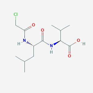 molecular formula C13H23ClN2O4 B14201707 N-(Chloroacetyl)-L-leucyl-L-valine CAS No. 917614-52-9