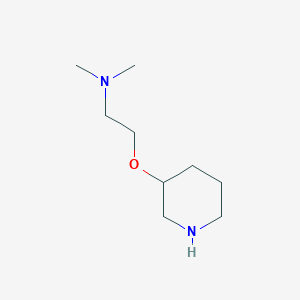 molecular formula C9H20N2O B1420255 二甲基[2-(哌啶-3-氧基)乙基]胺 CAS No. 1020943-38-7