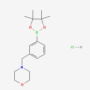 molecular formula C17H27BClNO3 B1420417 3-((Morpholino)methyl)phenylboronic acid pinacol ester hydrochloride CAS No. 1073371-76-2