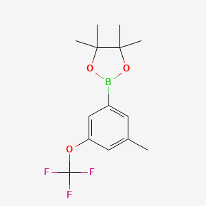 molecular formula C14H18BF3O3 B1420448 4,4,5,5-Tetramethyl-2-(3-methyl-5-(trifluoromethoxy)phenyl)-1,3,2-dioxaborolane CAS No. 1150561-56-0