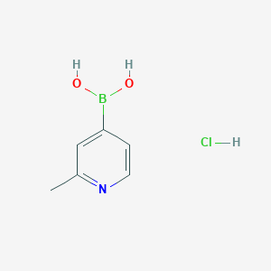 molecular formula C6H9BClNO2 B1420454 (2-甲基吡啶-4-基)硼酸盐盐酸 CAS No. 861905-97-7