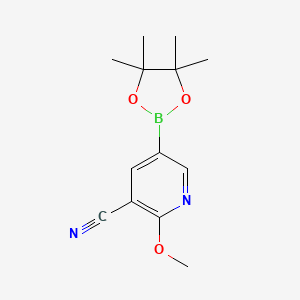 molecular formula C13H17BN2O3 B1420462 2-Methoxy-5-(4,4,5,5-tetramethyl-1,3,2-dioxaborolan-2-yl)nicotinonitrile CAS No. 1073354-05-8
