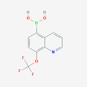 molecular formula C10H7BF3NO3 B1420479 8-三氟甲氧基喹啉-5-硼酸 CAS No. 1072951-46-2