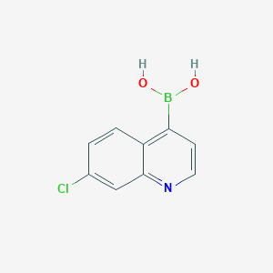 7-Chloroquinoline-4-boronic acid