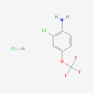 molecular formula C7H6Cl2F3NO B1420544 2-Chloro-4-(trifluoromethoxy)aniline hydrochloride CAS No. 1187386-31-7