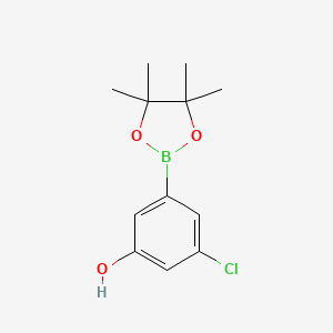 molecular formula C12H16BClO3 B1420580 3-Chloro-5-(4,4,5,5-tetramethyl-1,3,2-dioxaborolan-2-yl)phenol CAS No. 960388-56-1