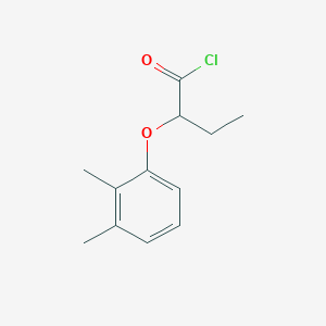 molecular formula C12H15ClO2 B1420630 2-(2,3-Dimethylphenoxy)butanoyl chloride CAS No. 833460-84-7