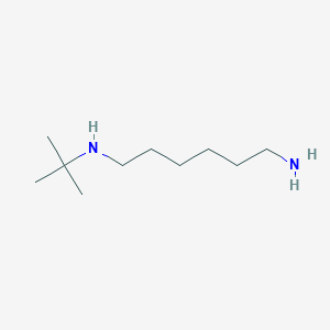 molecular formula C10H24N2 B14207839 N~1~-tert-Butylhexane-1,6-diamine CAS No. 836612-78-3