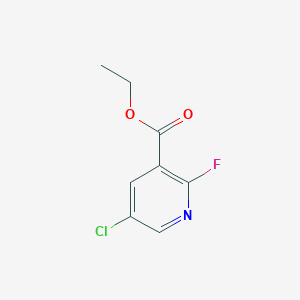 molecular formula C8H7ClFNO2 B1420797 乙基5-氯-2-氟烟酸酯 CAS No. 1214345-81-9