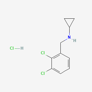 molecular formula C10H12Cl3N B1420801 N-(2,3-dichlorobenzyl)cyclopropanamine hydrochloride CAS No. 1260763-07-2