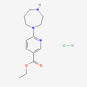 molecular formula C13H20ClN3O2 B1420827 Ethyl 6-(1,4-diazepan-1-yl)pyridine-3-carboxylate hydrochloride CAS No. 1221726-03-9