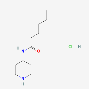 molecular formula C11H23ClN2O B1420830 N-(哌啶-4-基)己酰胺盐酸盐 CAS No. 1221722-76-4