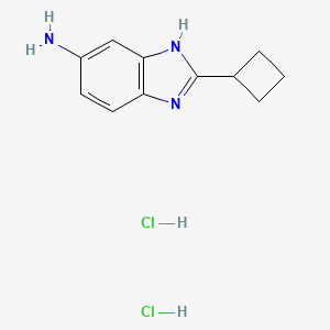 molecular formula C11H15Cl2N3 B1420848 2-cyclobutyl-1H-1,3-benzodiazol-5-amine dihydrochloride CAS No. 1221722-70-8