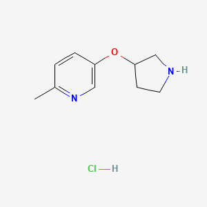 molecular formula C10H15ClN2O B1420888 2-Methyl-5-(3-pyrrolidinyloxy)pyridine hydrochloride CAS No. 1185302-19-5