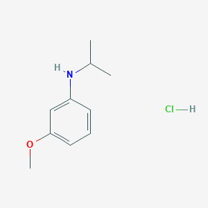 molecular formula C10H16ClNO B1420935 3-methoxy-N-(propan-2-yl)aniline hydrochloride CAS No. 1240527-18-7