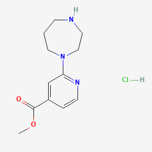 molecular formula C12H18ClN3O2 B1420943 Methyl 2-(1,4-diazepan-1-yl)pyridine-4-carboxylate hydrochloride CAS No. 1235439-20-9