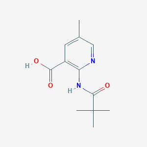 molecular formula C12H16N2O3 B1420982 5-Methyl-2-pivalamidonicotinic acid CAS No. 1203499-02-8