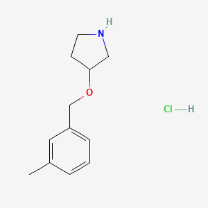 3-[(3-Methylbenzyl)oxy]pyrrolidine hydrochloride