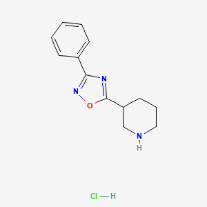 molecular formula C13H16ClN3O B1421021 3-(3-苯基-1,2,4-噁二唑-5-基)哌啶盐酸盐 CAS No. 1185302-70-8